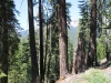 Pear Lake to Wolverton 103