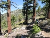 Sherman Peak 2x 016
