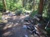 Bear-Creek-Day-2-0040