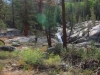 Bear-Creek-Day-3-0010