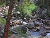Bear-Creek-Day-3-0013