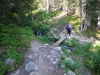 Bear-Lake-Glacier-Gorge-0035