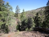 Blue Ridge Trail 3x 012