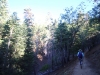 Blue-Ridge-Trail-5x-0003