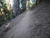 Blue-Ridge-Trail-5x-0005