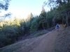 Blue-Ridge-Trail-5x-0007