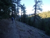 Blue-Ridge-Trail-5x-0023