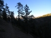 Blue-Ridge-Trail-5x-0024