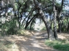 borrego-red-rock-canyon-004