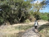 borrego-red-rock-canyon-006