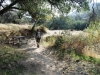 borrego-red-rock-canyon-032