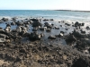 cape-hanamanioa-006