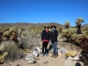 Cholla Garden 008