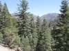 Cooper Canyon Falls 013.JPG