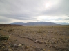 2016-03-05 Death Valley Wildflowers II 027
