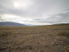 2016-03-05 Death Valley Wildflowers II 029