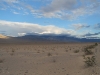 2016-03-05 Death Valley Wildflowers II 097