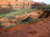 Devil's Bridge 0055