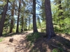 Exploration-Trail-0006