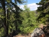 Exploration-Trail-0019