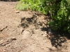 Exploration-Trail-0031