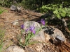 Exploration-Trail-0032