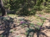 Exploration-Trail-0036