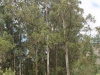 hazard-peak-and-canyon-022