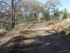 henry-coe-state-park-009