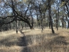 henry-coe-state-park-021