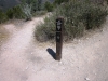 high-peaks-trail-053