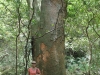 iao-valley-026