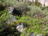 Iceberg-Lake-0029