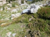Iceberg-Lake-0093