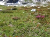 Iceberg-Lake-0113