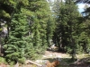 Iceberg-Lake-0144