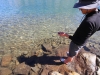 Iceberg-Lake-0157