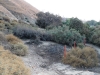 kern-river-bluffs-010