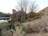 kern-river-bluffs-014