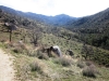 mill-creek-004