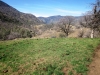 mill-creek-005