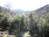 mill-creek-012
