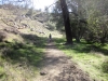 mill-creek-013