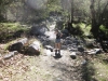 mill-creek-014