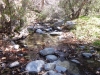 mill-creek-015