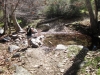 mill-creek-016