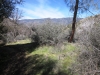 mill-creek-017