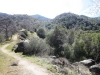 mill-creek-018