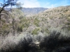 mill-creek-019
