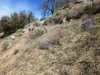 mill-creek-020